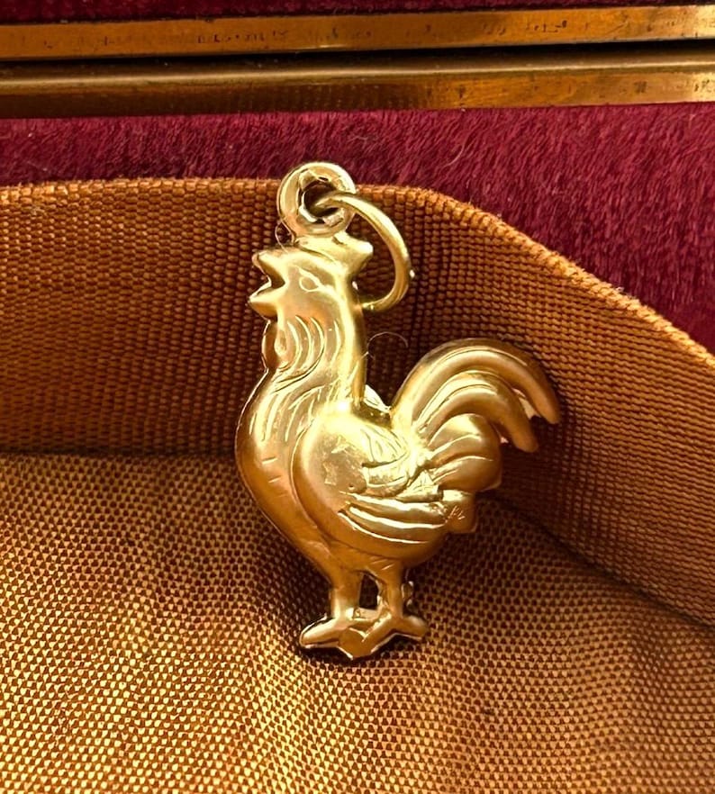 Chicken Charm Necklace Pendant Puffy Brass Charm Farm Gift For Her Chicken Hen Farmouse Gift Jewelry Charm For Bracelet Homestead Gift image 9