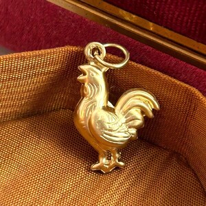 Chicken Charm Necklace Pendant Puffy Brass Charm Farm Gift For Her Chicken Hen Farmouse Gift Jewelry Charm For Bracelet Homestead Gift image 4