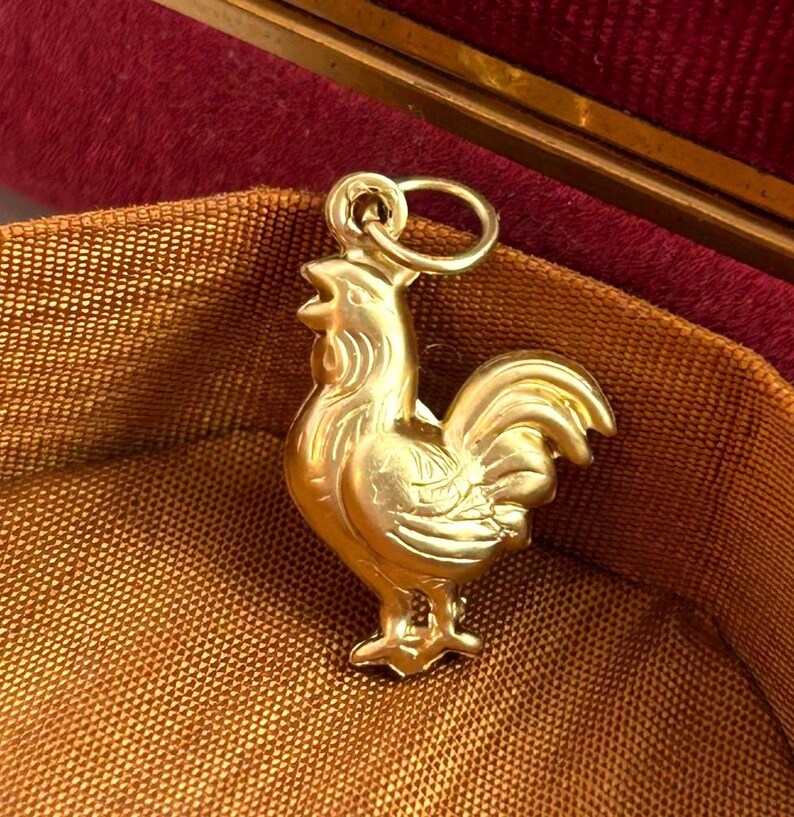 Chicken Charm Necklace Pendant Puffy Brass Charm Farm Gift For Her Chicken Hen Farmouse Gift Jewelry Charm For Bracelet Homestead Gift image 4