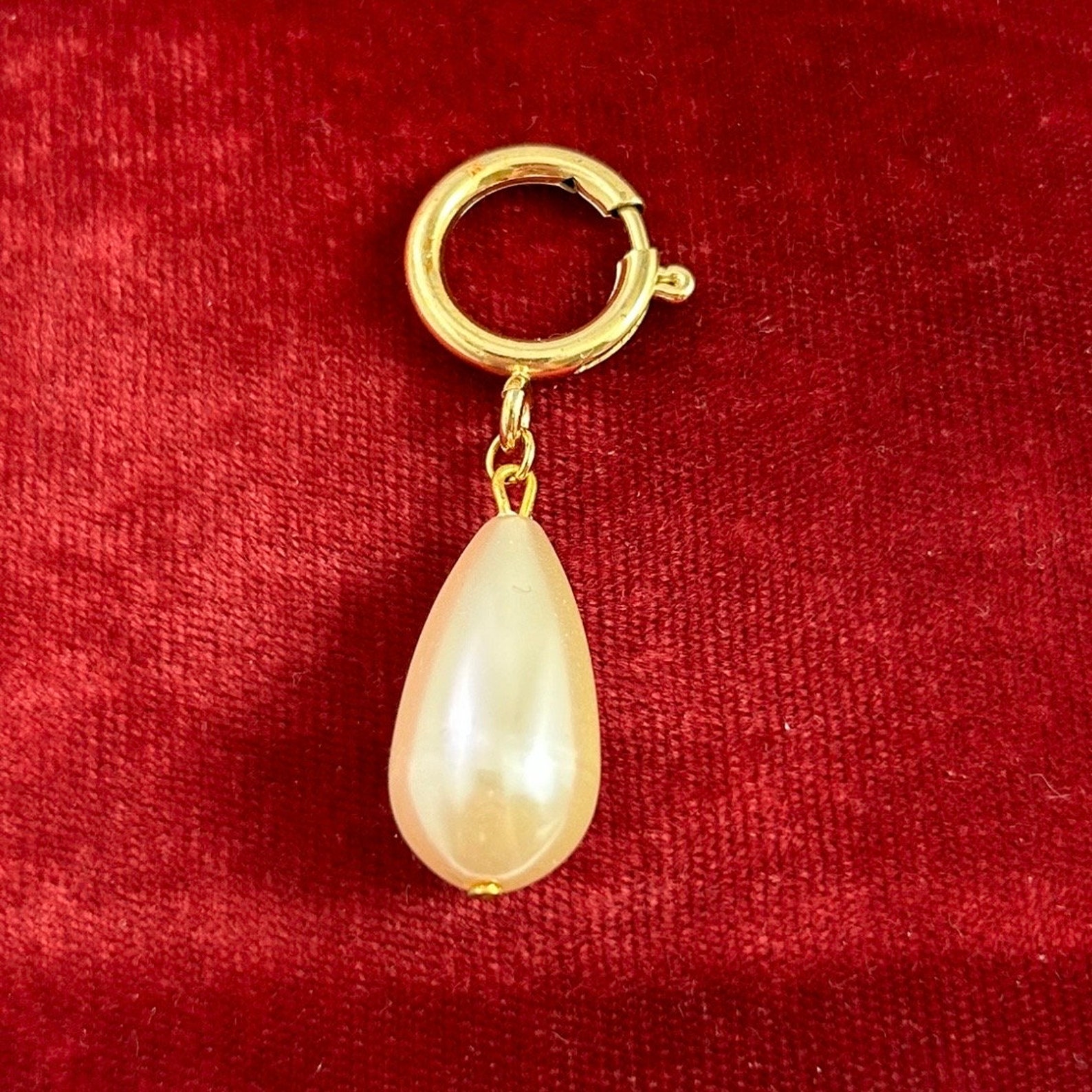 Zodiac Spring Clips Clip on Charms Astrology French Oui Yes Charm Faux Pearl Drop Fish ...