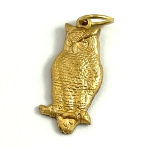 May include: A gold owl charm with a detailed textured design. The owl is perched on a branch and has a ring for attaching to a necklace or bracelet.