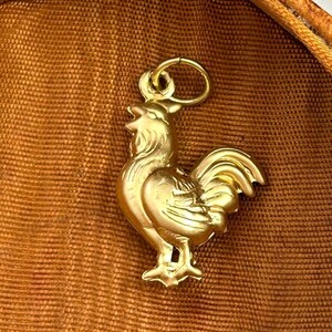 Chicken Charm Necklace Pendant Puffy Brass Charm Farm Gift For Her Chicken Hen Farmouse Gift Jewelry Charm For Bracelet Homestead Gift image 8