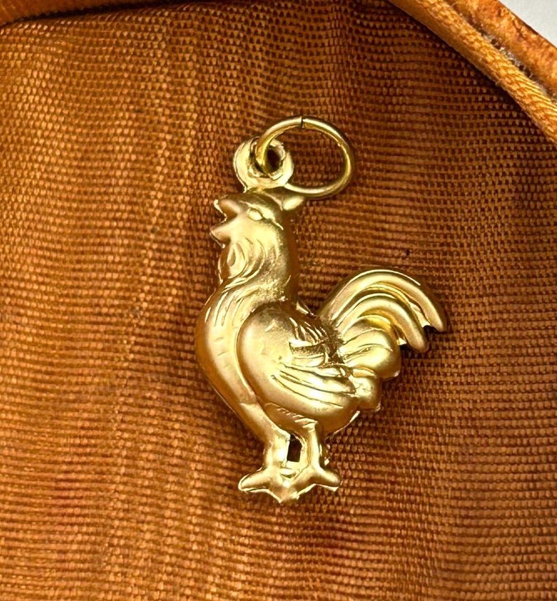 Chicken Charm Necklace Pendant Puffy Brass Charm Farm Gift For Her Chicken Hen Farmouse Gift Jewelry Charm For Bracelet Homestead Gift image 8