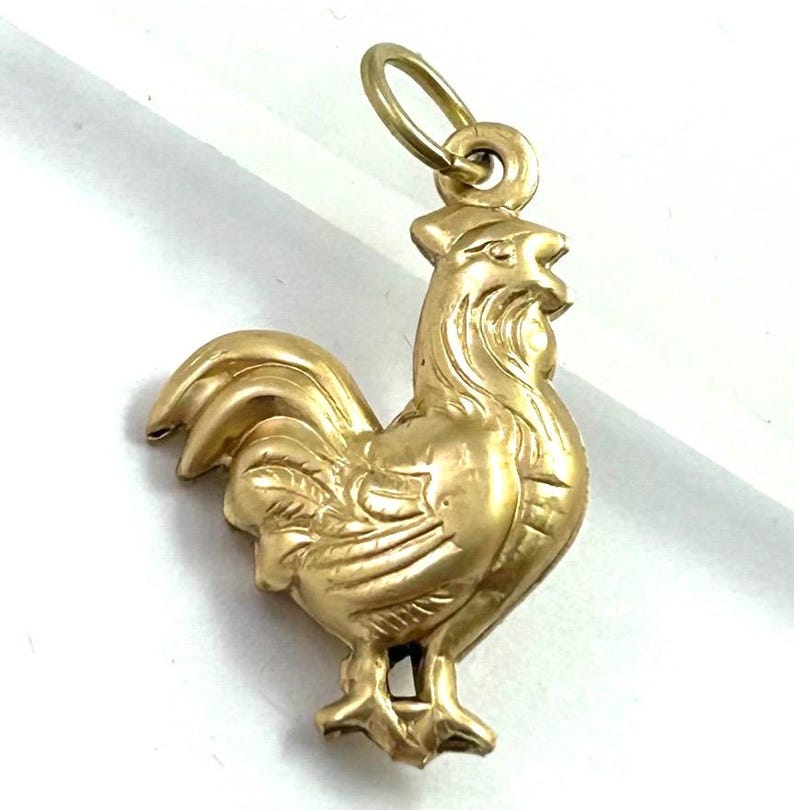 Chicken Charm Necklace Pendant Puffy Brass Charm Farm Gift For Her Chicken Hen Farmouse Gift Jewelry Charm For Bracelet Homestead Gift image 7