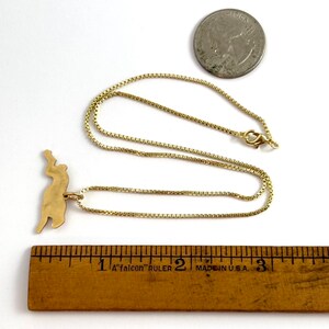 May include: A gold chain necklace with a gold pendant shaped like a leaping animal. The pendant is about 2.5 cm long. The chain is about 45 cm long. The necklace is next to a ruler and a US quarter.