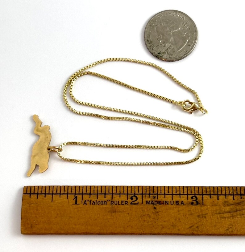 May include: A gold chain necklace with a gold pendant shaped like a leaping animal. The pendant is about 2.5 cm long. The chain is about 45 cm long. The necklace is next to a ruler and a US quarter.