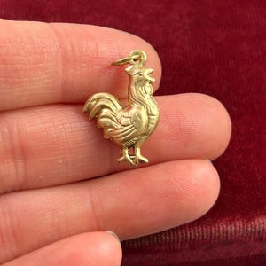 Chicken Charm Necklace Pendant Puffy Brass Charm Farm Gift For Her Chicken Hen Farmouse Gift Jewelry Charm For Bracelet Homestead Gift image 3