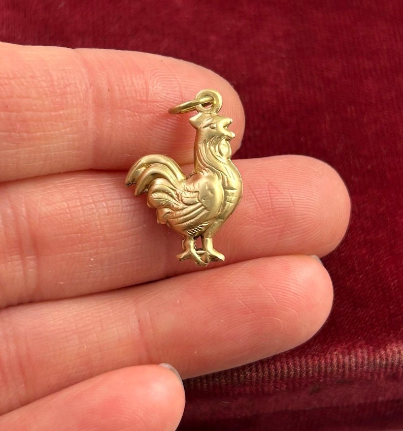 Chicken Charm Necklace Pendant Puffy Brass Charm Farm Gift For Her Chicken Hen Farmouse Gift Jewelry Charm For Bracelet Homestead Gift image 3