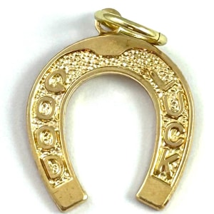 May include: A gold-colored horseshoe charm with the words "GOOD LUCK" embossed on it. The charm has a textured surface and a loop at the top for attaching to a necklace or bracelet. A symbol of good fortune.