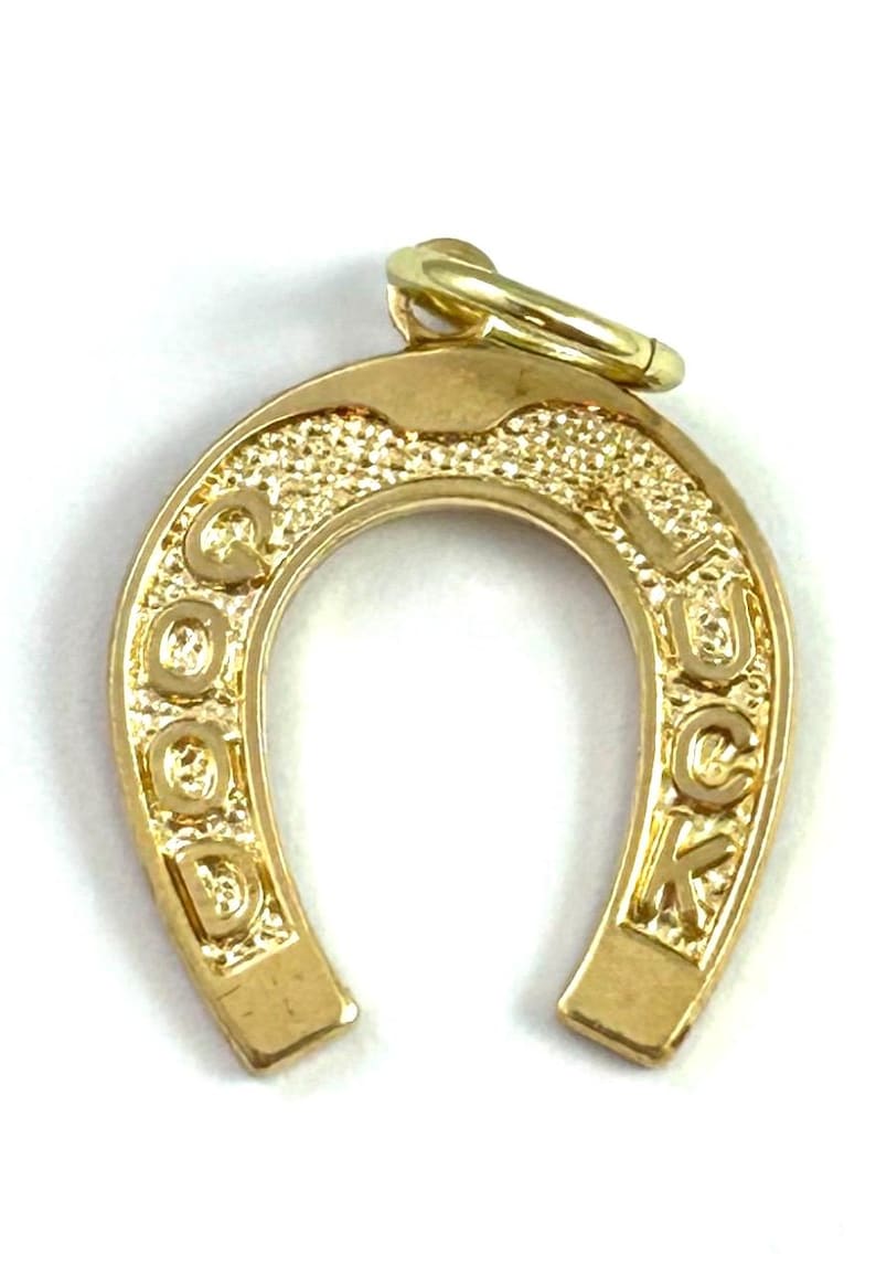 May include: A gold-colored horseshoe charm with the words "GOOD LUCK" embossed on it. The charm has a textured surface and a loop at the top for attaching to a necklace or bracelet. A symbol of good fortune.