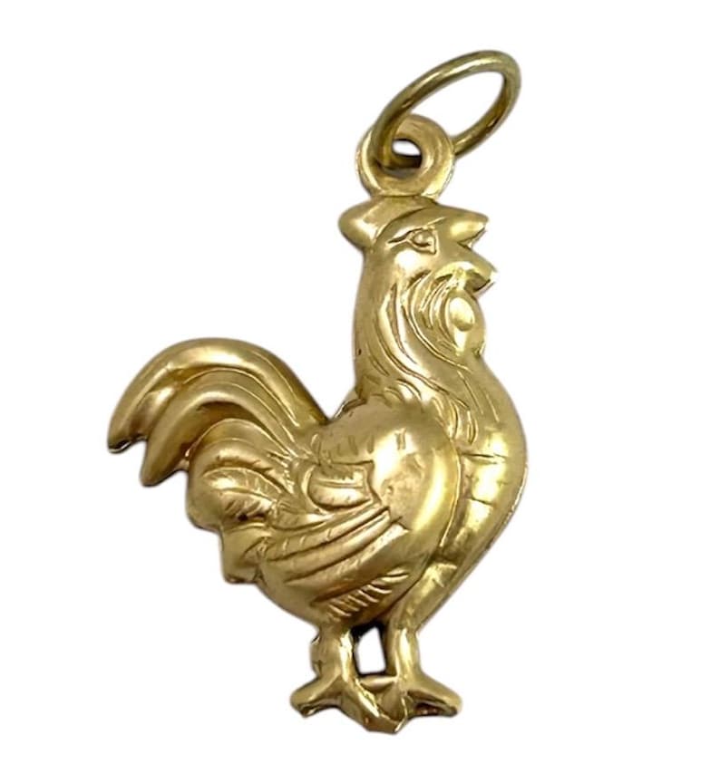 Chicken Charm Necklace Pendant Puffy Brass Charm Farm Gift For Her Chicken Hen Farmouse Gift Jewelry Charm For Bracelet Homestead Gift image 5