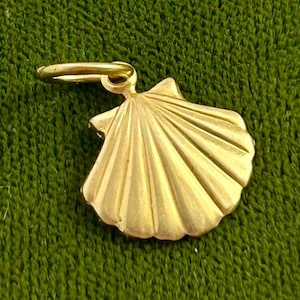 May include: A gold-colored seashell charm pendant. The charm is in the shape of a scallop shell with a detailed, textured surface.