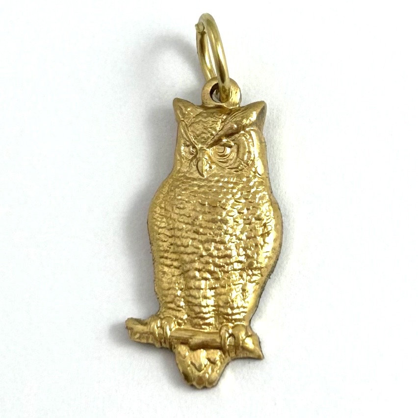 May include: A gold owl charm pendant with a detailed textured design. The owl is perched on a branch and has a serious expression.