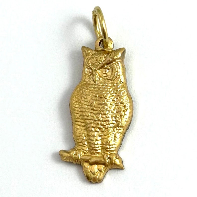 May include: A gold owl charm pendant with a detailed textured design. The owl is perched on a branch and has a serious expression.