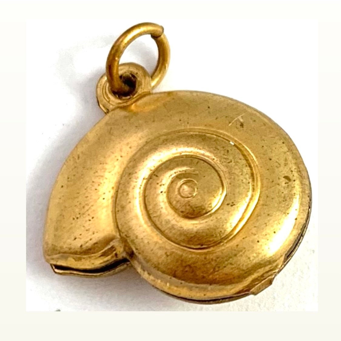 Brass Nautilus Shell -  Canada
