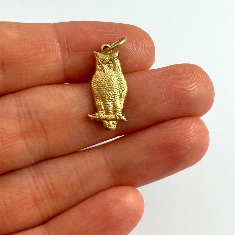 May include: A gold owl charm pendant with detailed features. The owl is perched on a branch and has a textured surface.