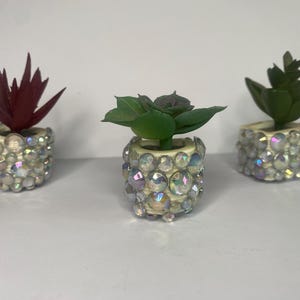 Sukkulenten Pflanze Magnet, Strass, schillernder Magnet, 3er Pack, Magnet Set, Sukkulente Pflanze, Geschenk, Gastgeschenk, Set