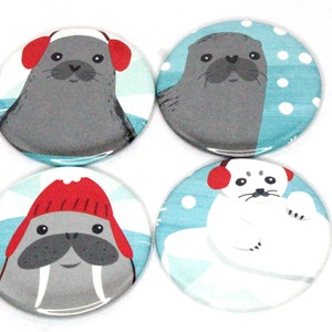 2.25 Set of 4 Magnets Walrus Family image 1