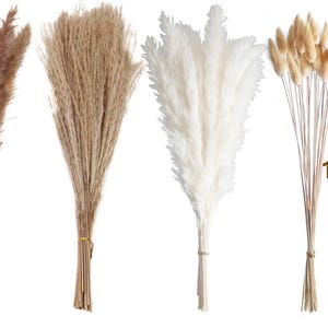 May include: Four bundles of dried pampas grass in various colors, including brown, beige, and white. The bundles are tied together with twine and measure 17 inches in length.