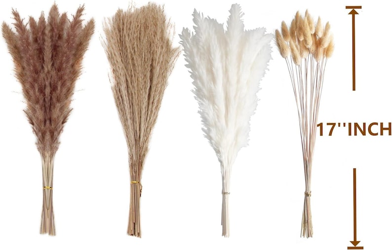 May include: Four bundles of dried pampas grass in various colors, including brown, beige, and white. The bundles are tied together with twine and measure 17 inches in length.