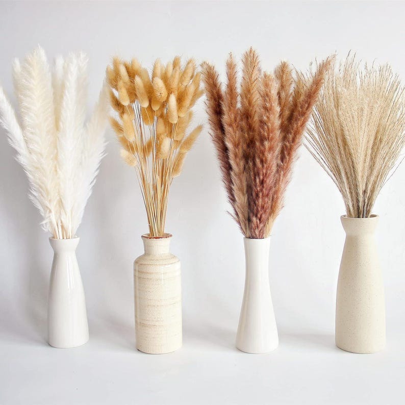 May include: Four vases with dried pampas grass in various shades of brown and white. The vases are all different styles and colors, with two white ceramic vases, one beige ceramic vase, and one white glass vase.