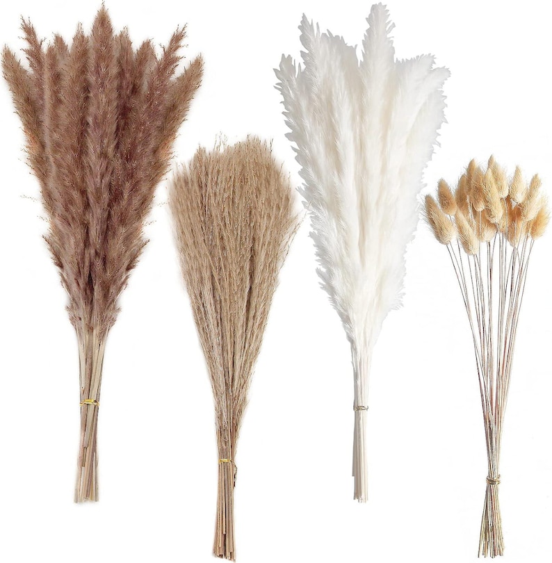 May include: Set of four dried pampas grass plumes in various shades of brown and white. The plumes are tied together with twine and are ready to be used in home decor.