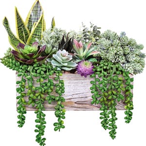 May include: A wooden planter box filled with a variety of artificial succulents. The arrangement includes green, purple, and pink succulents, with trailing green string-of-pearls. The box has a weathered, rustic appearance, perfect for home decor.