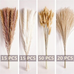May include: Four bundles of dried pampas grass in different colors and quantities. The bundles are tied together with twine. The bundles are arranged from left to right: 15 pieces of pink pampas grass, 15 pieces of white pampas grass, 50 pieces of beige pampas grass, and 20 pieces of brown pampas grass. The text "15 PCS", "15 PCS", "50 PCS", and "20 PCS" is printed below each bundle.