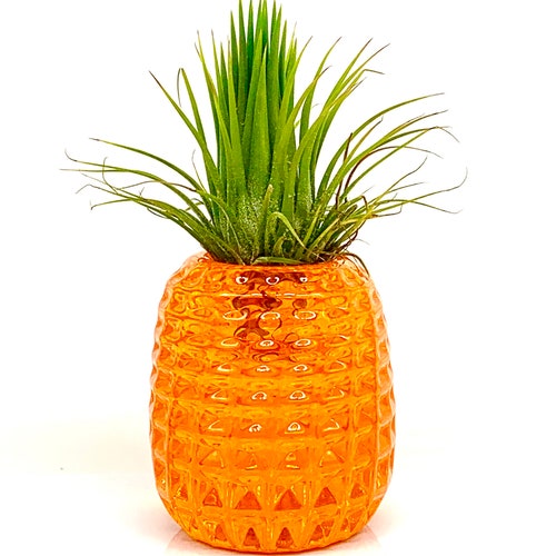 Glass Pineapple Planter Air Plant Crown Handblown Solid Etsy