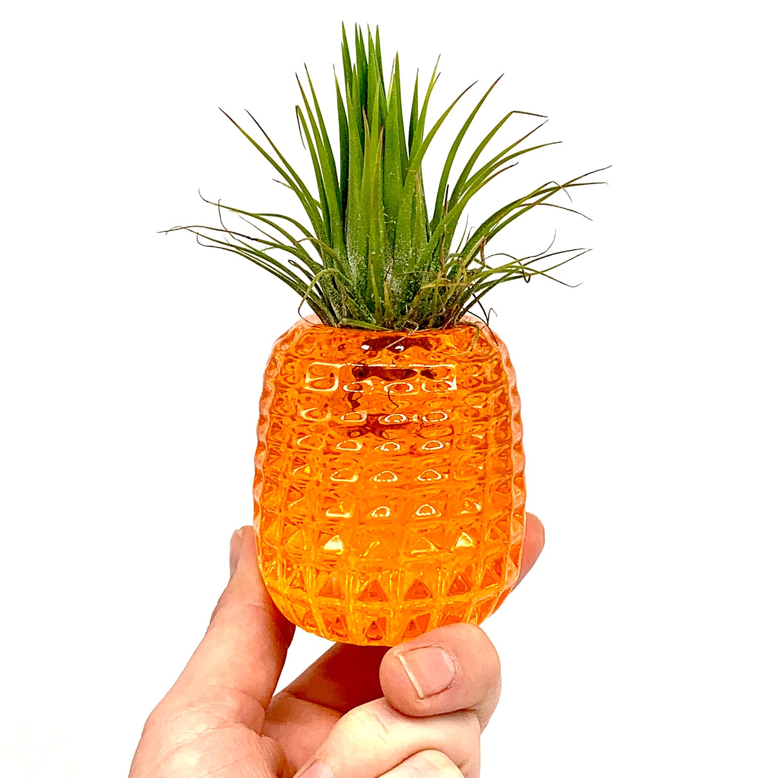 Glass Pineapple Planter Air Plant Crown Handblown Solid Etsy