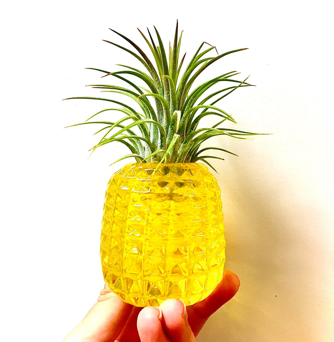Glass Pineapple Planter Air Plant Crown Handblown Solid Etsy