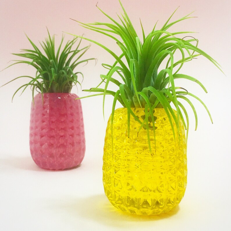 Pineapple Planter with a live air plant crown Handblown Etsy