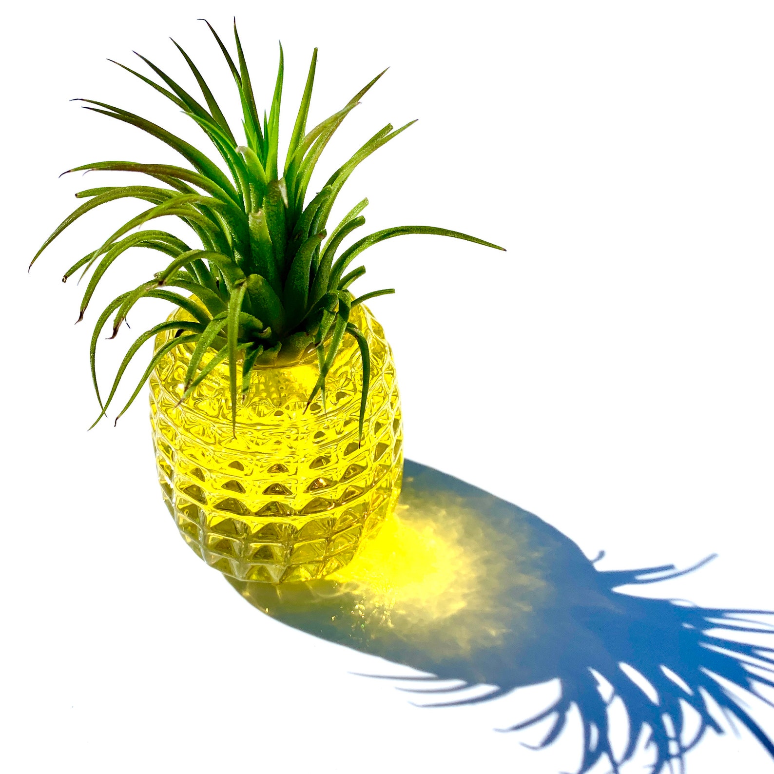 Glass Pineapple Planter Air Plant Crown Handblown Solid Etsy