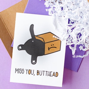 Funny Cat Miss You Letterpress Card - Butthead Gift - Black Cat Love Card - Gifts for Best Friend BFF Bestie - Kitty Playing in a Box - A2