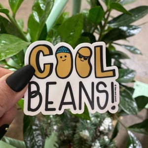 May include: White sticker with black outline featuring the text "COOL BEANS!" with two cartoon beans wearing a blue hat and sunglasses. The text "© kits and punch" is in the bottom right corner.