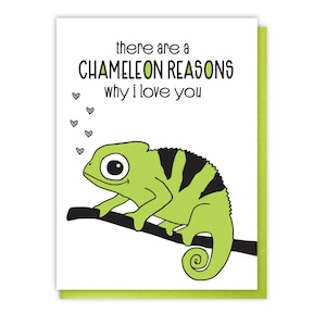 Carte typographique caméléon amour mignon - anniversaire de rencontre - Saint-Valentin - petit lézard - mari femme petit ami petite amie - millions de raisons