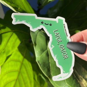 Florida State Aufkleber - Bullet Journal - Silly State Series - Reisejournal - Laptop Aufkleber - Wasserflasche Flair