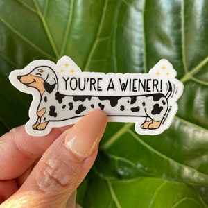 Sticker You're a Wiener - teckel geschenken - vinyl sticker - hond woordspeling - leuk cadeau vrouwen - schattige pup - laptopstickers - grappige Doxie - papa grap