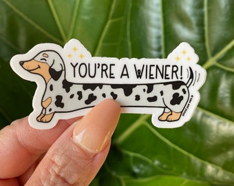 Cute Dachshund Dog Lover Vinyl Sticker Decal - Waterproof 5 Inch, For Car, Laptop, Wall, Window - View #9