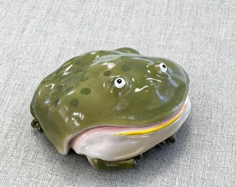 Étui pour Airpod Frog, accessoires uniques pour écouteurs pour Airpods pro/pro 2, 4