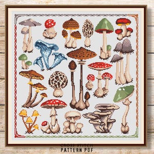 May include: A cross-stitch pattern featuring a variety of colorful mushrooms with different shapes and sizes. The pattern includes red, brown, white, and green mushrooms with white stems. The pattern is on a white background with a brown border.