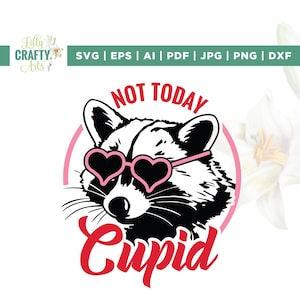 Nicht heute Cupid SVG, Valentine SVG, Snarky Waschbär Valentinstag SVG, Cricut, Sublimation, sarkastisches Valentines Jahr