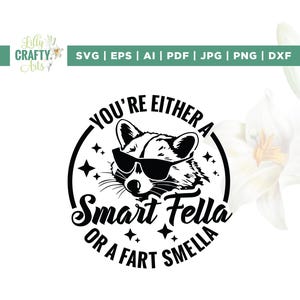 You're ofwel A Smart Fella Or Fart Smella svg, Cricut, sublimatie, Weird T-shirt svg, Meme T-shirt svg, Trash Panda T-shirt png, opstrijkbaar