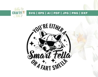 You’ re either A Smart Fella Or Fart Smella svg, Cricut, sublimation, Weird T Shirt svg, Meme T Shirt svg, Trash Panda T Shirt png, Iron on