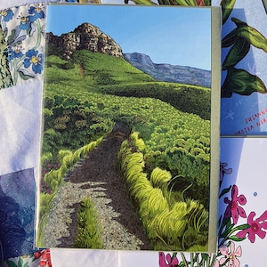 A carta Paisagem Escuta