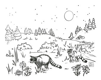 Colorado Raccoons in Nature Coloring Page Drawing Printable Black and White Illustration