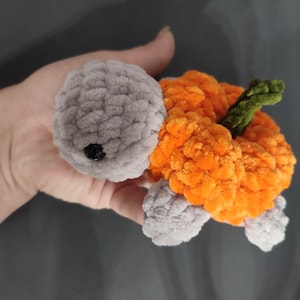 May include: A handmade crochet turtle with a gray head and feet, and an orange body resembling a pumpkin. The turtle has a green stem and a black eye. The plush toy is made of soft, textured yarn.