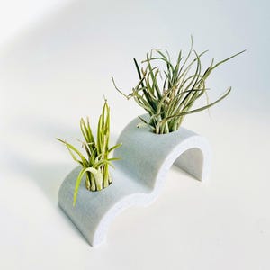 May include: A light grey, wavy, marble-effect planter with two openings, each holding a small air plant. The air plants have green and yellow leaves. The planter has a modern, minimalist design, suitable for home decor.