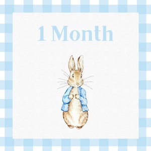 Cartão de marco mensal Peter Rabbit/Beatrix Potter para download digital