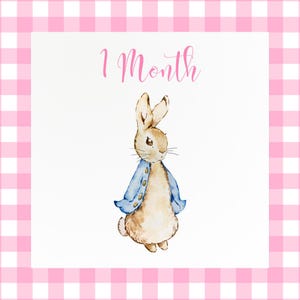 Cartes d'étape mensuelle Peter Rabbit/Beatrix Potter pour bébé fille
